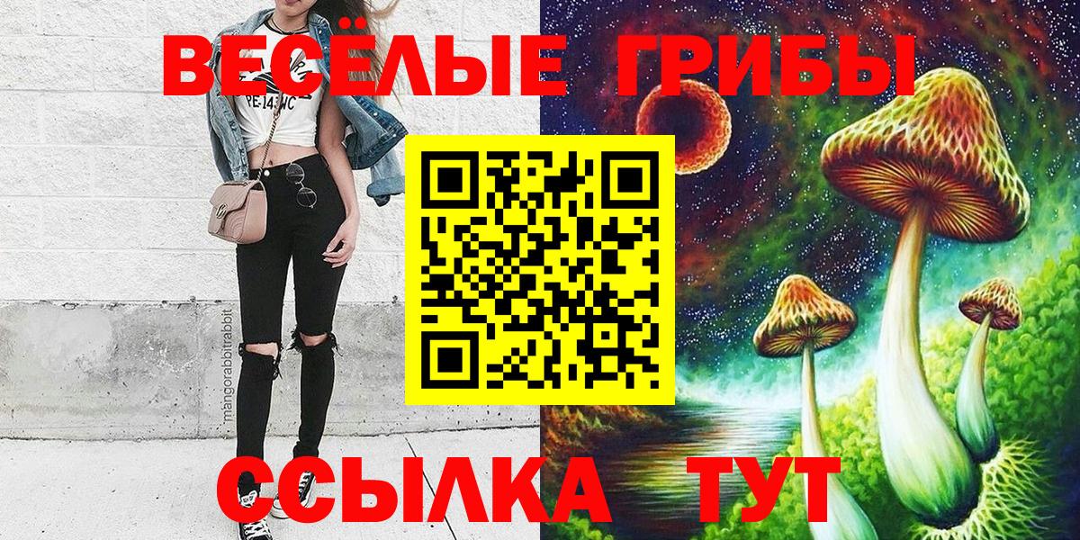 Владикавказ  Галлюциногенные грибы Psilocybine cubensis  Вход с VPN 
